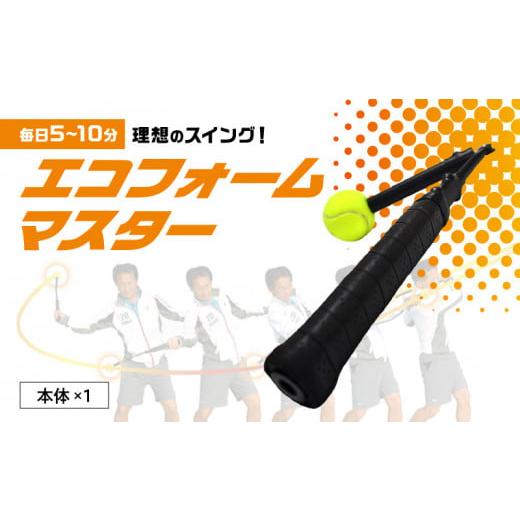 ふるさと納税 スポーツ・アウトドア 大分県 別府市 テニス練習器『エコフォームマスター』