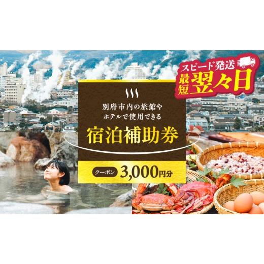 ふるさと納税 宿泊券 ホテル 大分県 別府市 3,000円分 最短2営業日以内