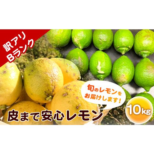 ふるさと納税 みかん・柑橘類 レモン 和歌山県 紀の川市 防腐剤・ワックス不使用 訳ありBランク 皮まで安心レモン 10kg 黒潮フルーツファーム[2026年10月中旬…