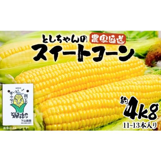 ふるさと納税 福岡県 豊前市 [2024年6月以降発送分予約]下山農園 としちゃん の 農家直送 スイートコーン 約 4kg (11〜13本入り)[豊前市]とうもろこし 野…