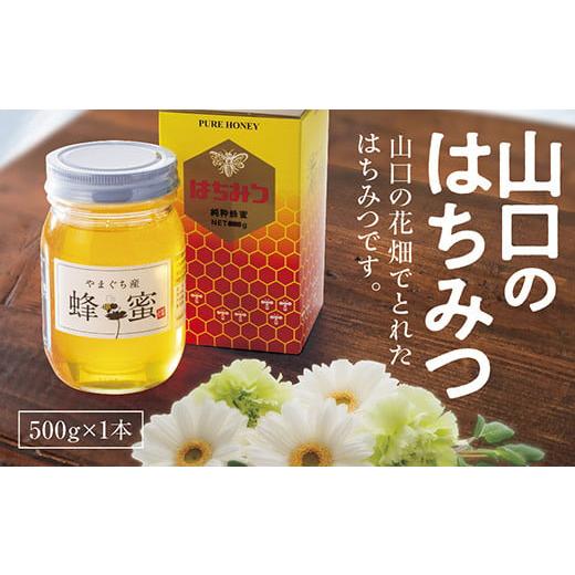 ふるさと納税 加工品等 はちみつ 山口県 山口市 D155 山口のはちみつ 500g