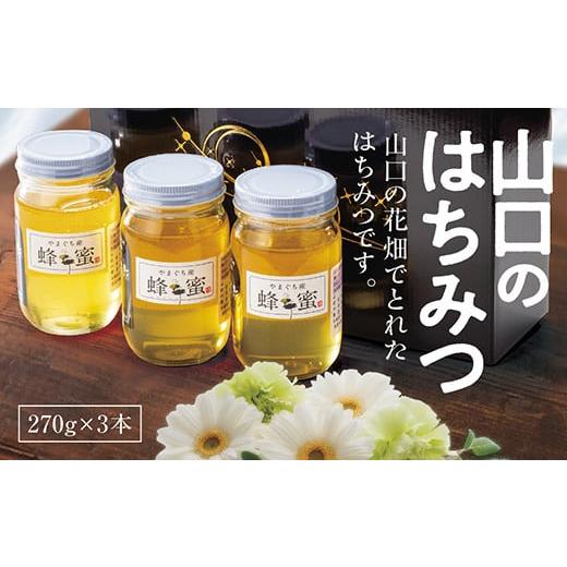 ふるさと納税 加工品等 はちみつ 山口県 山口市 D028 山口のはちみつ 270g×3本の画像