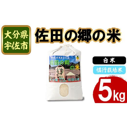 ふるさと納税 米 大分県 宇佐市 新米・令和7年産 佐田の郷の米 慣行栽培米(5kg) お米 白米 ごはん ヒノヒカリ ひのひかり ブランド米 常温 常温保存 11170010…