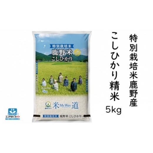 ふるさと納税 米 コシヒカリ 山口県 周南市 特別栽培米鹿野産こしひかり精米5kg(5kg×1袋)*北海道・沖縄・離島への配送不可*