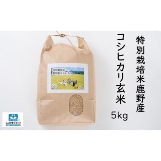 ふるさと納税 玄米 山口県 周南市 特別栽培米鹿野産コシヒカリ玄米5kg (5kgx1袋)*北海道・沖縄・離島への配送不可*