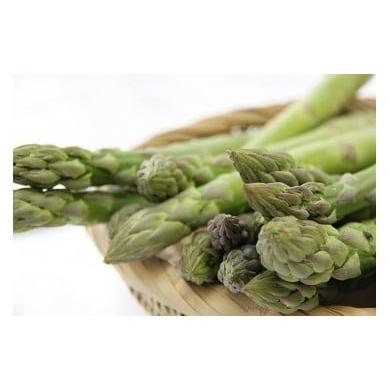 ふるさと納税 野菜類 アスパラガス 北海道 由仁町 Z02 金山農場 グリーンアスパラガス(S・Mサイズ)