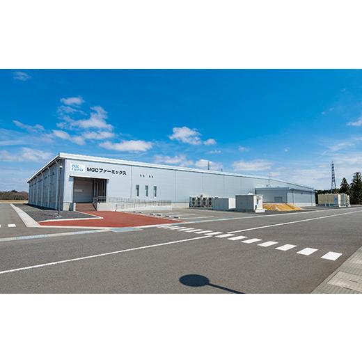 ふるさと納税 セット・詰合せ 福島県 白河市 植物工場で育てた5種のレタス食べくらべセット 10パック F23R-784の画像
