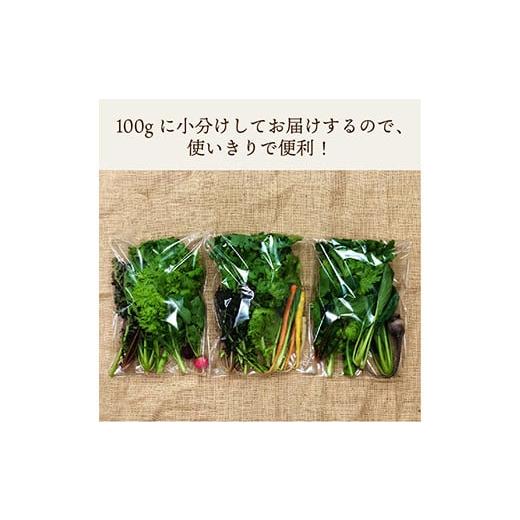 ふるさと納税 福島県 白河市 都内マルシェで人気のお野菜！ サラダに最適！葉野菜とミニ根菜のセット 5袋 F21R-208｜furusatochoice｜09