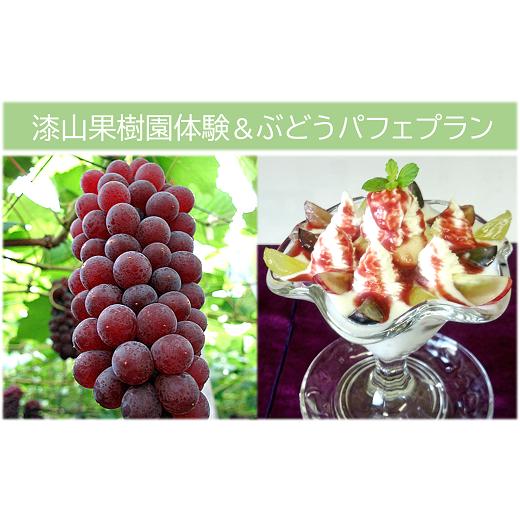 ふるさと納税 山形県 南陽市 漆山果樹園 農業体験 & ぶどうパフェ プラン 2名様分 『漆山果樹園』 山形県 南陽市 [3014] 山形県 南陽市 お土産付き