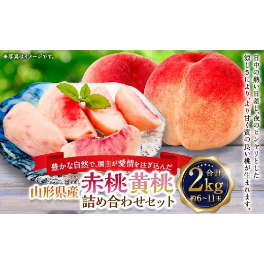 ふるさと納税 もも 山形県 白鷹町 園主が愛情を注ぎ込んだ 桃 (赤桃・?桃) 詰め合わせ 約2kg (6〜11玉) 山形県産 果物 くだもの 夏果実 フルーツ 2026年8…