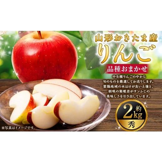 ふるさと納税 りんご 山形県 白鷹町 山形おきたま産 りんご(中生種)品種おまかせ 秀品 5玉〜8玉 (約2kg) 山形県産 フルーツ 果物 2026年10月発送