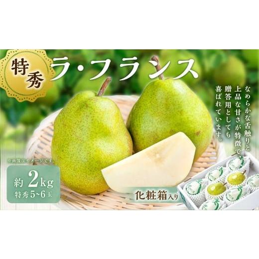 ふるさと納税 梨 山形県 白鷹町 山形おきたま産 ラ・フランス (特秀) 5玉〜6玉(約2kg) 化粧箱入り 山形県産 フルーツ 果物 2026年11月上旬〜12月上旬発送…