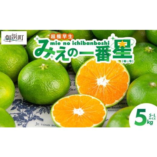 ふるさと納税 果物類 みかん 三重県 御浜町 JAみえの一番星(味一号)5キロ 期間限定 数量限定 果物 フルーツ みかん 味一号 みえの一番星 超極早生 5kg 三重…