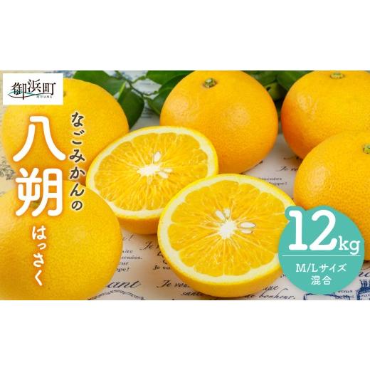 ふるさと納税 果物類 みかん 三重県 御浜町 2027年発送先行予約品 なごみかんの八朔12キロ 数量限定 果物 フルーツ みかん 八朔 はっさく デザート 12kg 三重…