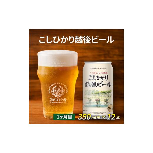 ふるさと納税 新潟県 新潟市 【定期便2ヶ月】エチゴビール【1ヶ月目】こしひかり越後ビール350ml缶×12本【2ヶ月目】プレミアムレッドエール350ml缶×12本 