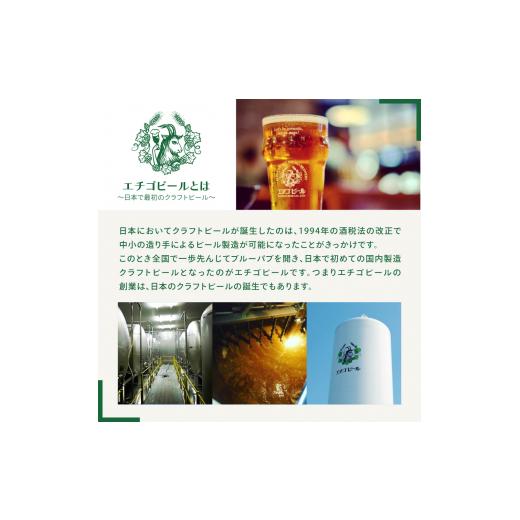 ふるさと納税 新潟県 新潟市 【定期便2ヶ月】エチゴビール【1ヶ月目】こしひかり越後ビール350ml缶×12本【2ヶ月目】プレミアムレッドエール350ml缶×12本 