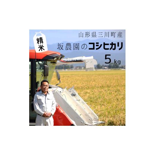 ふるさと納税 山形県 三川町 [令和5年産・精米]坂農園の厳選米!コシヒカリ5kg 令和5年産