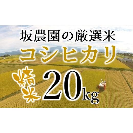 ふるさと納税 山形県 三川町 【令和5年産・精米】坂農園の厳選米！コシヒカリ20kg 令和5年産 精米