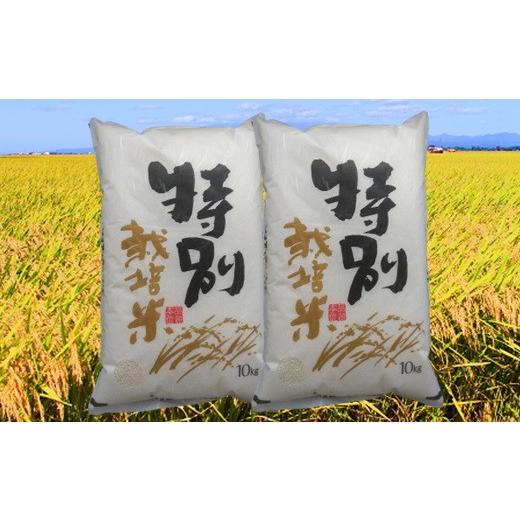 ふるさと納税 山形県 三川町 【令和5年産・精米】坂農園の厳選米！コシヒカリ20kg 令和5年産 精米