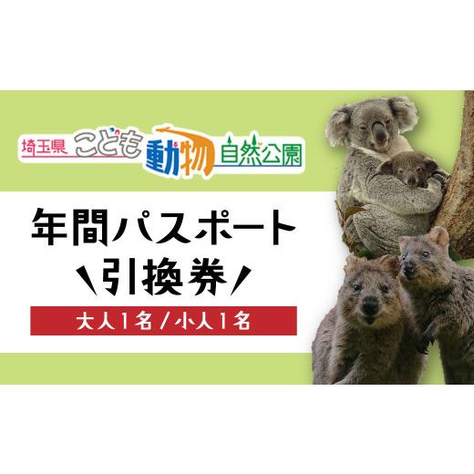 ふるさと納税 入場券・優待券 埼玉県 東松山市 埼玉県こども動物自然公園 年間パスポート 大人1名+小人1名 | 動物園 年パス 子ども こども 子供 家族 家族 フ…