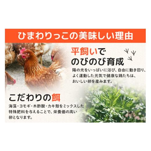 ふるさと納税 卵（鶏、烏骨鶏等） 茨城県 那珂市 平飼いたまご
