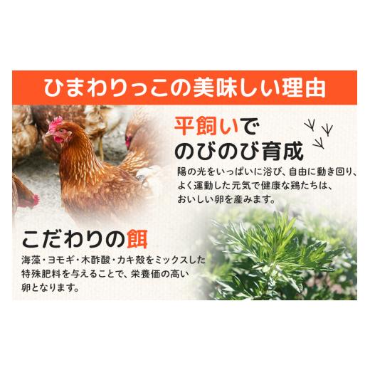 ふるさと納税 卵（鶏、烏骨鶏等） 茨城県 那珂市 平飼いたまご