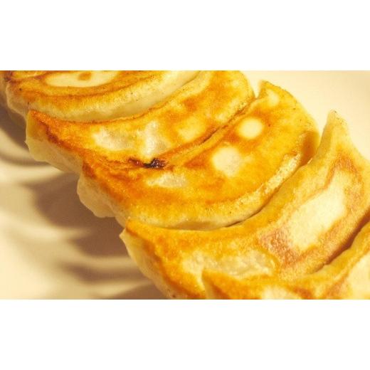 ふるさと納税 惣菜・レトルト 冷凍 北海道 小樽市 あおぞら銭函3丁め 手作り餃子 3種と特製レアチーズケーキセット_3