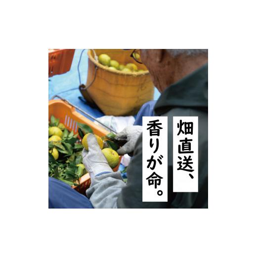 ふるさと納税 高知県 馬路村 ごっくん村セット ゆずぽん酢 ゆずジュース 調味料 ぽん酢醤油 はちみつ ドリンク  詰め合わせ お中元 ギフト 高知県 馬路村【510…｜furusatochoice｜07