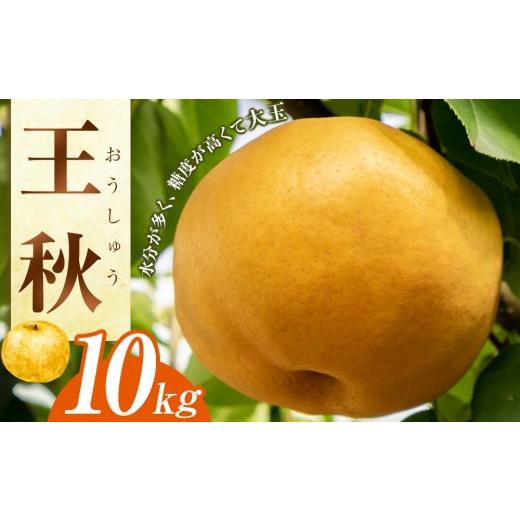 ふるさと納税 梨 鳥取県 北栄町 梨 王秋 10kg（JA） 2026年10月下旬〜11月下旬頃に順次発送予定 梨 なし ナシ 王秋 フルーツ 果物 鳥取県 北栄町 おすすめ 人…の画像