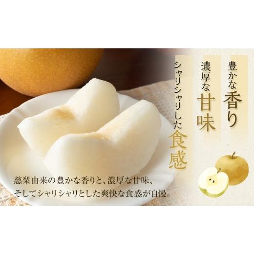 ふるさと納税 梨 鳥取県 北栄町 梨 王秋 10kg（JA） 2026年10月下旬〜11月下旬頃に順次発送予定 梨 なし ナシ 王秋 フルーツ 果物 鳥取県 北栄町 おすすめ 人…の画像