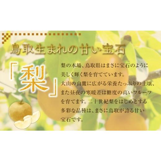 ふるさと納税 梨 鳥取県 北栄町 梨 王秋 10kg（JA） 2026年10月下旬〜11月下旬頃に順次発送予定 梨 なし ナシ 王秋 フルーツ 果物 鳥取県 北栄町 おすすめ 人…の画像