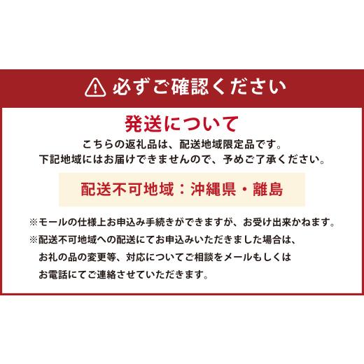 ふるさと納税 領域の畏まりの品 岡山県 倉敷市 船底居敷きL印字機 船 船底居敷き 居敷き 海 岡山県 倉敷市 おすすめ 一般受け