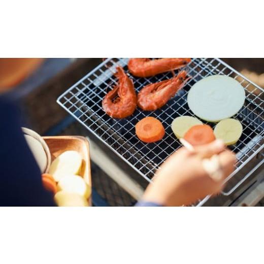 ふるさと納税 アウトドアグッズ 岐阜県 大垣市  Hot Camp ＋Base基本セット (炭火串焼き・網焼き器) 耐熱黒塗装タイプ_3