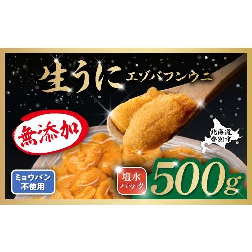 ふるさと納税 ウニ 北海道 登別市 無添加 極上 エゾバフンウニ 塩水パック 500g 配送期間B：10月下旬〜11月下旬迄 高級 うに ウニ 雲丹 生うに バフンウニ 塩…の画像