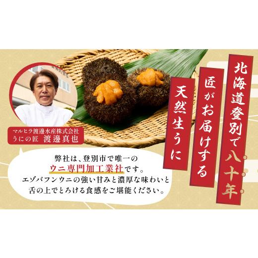 ふるさと納税 ウニ 北海道 登別市 無添加 極上 エゾバフンウニ 塩水パック 500g 配送期間B：10月下旬〜11月下旬迄 高級 うに ウニ 雲丹 生うに バフンウニ 塩…の画像