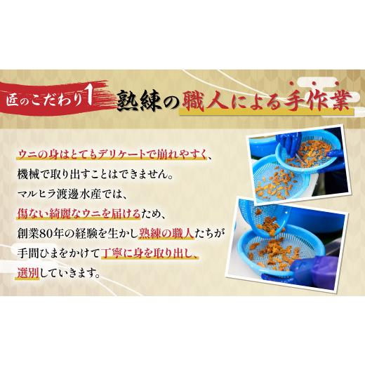 ふるさと納税 ウニ 北海道 登別市 無添加 極上 エゾバフンウニ 塩水パック 500g 配送期間B：10月下旬〜11月下旬迄 高級 うに ウニ 雲丹 生うに バフンウニ 塩…の画像