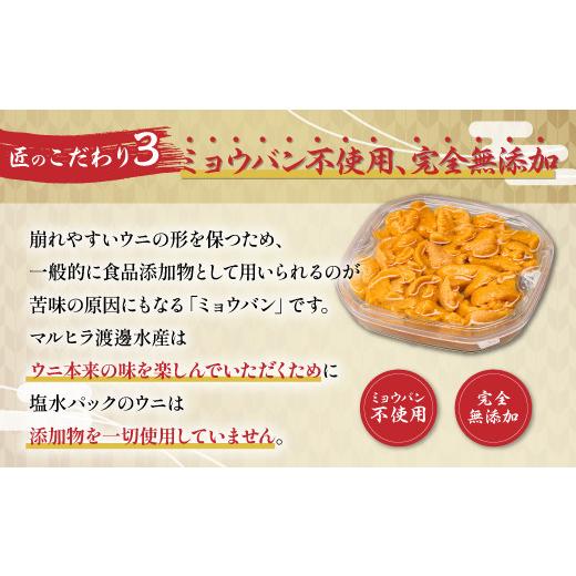 ふるさと納税 ウニ 北海道 登別市 無添加 極上 エゾバフンウニ 塩水パック 500g 配送期間B：10月下旬〜11月下旬迄 高級 うに ウニ 雲丹 生うに バフンウニ 塩…の画像