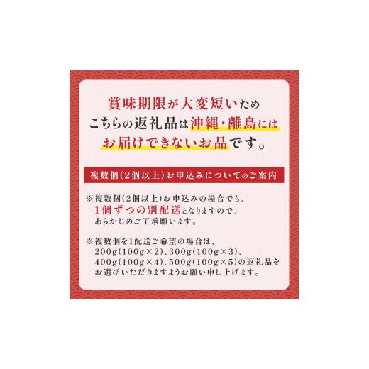 ふるさと納税 ウニ 北海道 登別市 無添加 極上 エゾバフンウニ 塩水パック 500g 配送期間B：10月下旬〜11月下旬迄 高級 うに ウニ 雲丹 生うに バフンウニ 塩…の画像