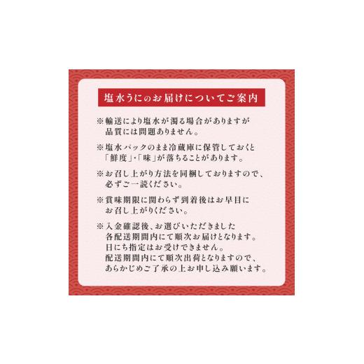 ふるさと納税 ウニ 北海道 登別市 無添加 極上 エゾバフンウニ 塩水パック 500g 配送期間B：10月下旬〜11月下旬迄 高級 うに ウニ 雲丹 生うに バフンウニ 塩…の画像