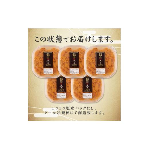 ふるさと納税 ウニ 北海道 登別市 無添加 極上 エゾバフンウニ 塩水パック 500g 配送期間B：10月下旬〜11月下旬迄 高級 うに ウニ 雲丹 生うに バフンウニ 塩…の画像