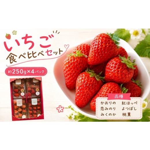 ふるさと納税 いちご 山口県 美祢市 秋吉台 の ミネラル たっぷり Agri charmの いちご 食べ比べ セット ( 2品種 以上 × 4パック ) 先行予約 2027年2月末 ~ …