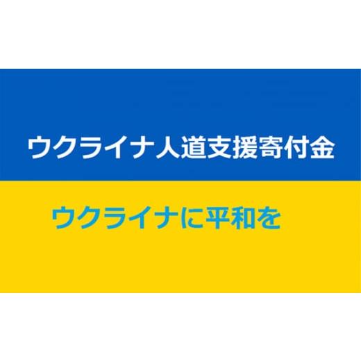 ふるさと納税 感謝状等 埼玉県 秩父市 返礼品なし ウクライナへの人道支援寄附金(1口2000円) No.327