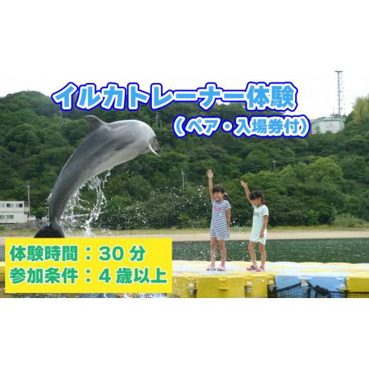 ふるさと納税 香川県 さぬき市 体験 イルカ ドルフィン 日本ドルフィンセンター イルカのトレーナー体験 ペア 入場券付き 