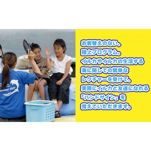 ふるさと納税 香川県 さぬき市 体験 イルカ ドルフィン 日本ドルフィンセンター イルカのトレーナー体験 ペア 入場券付き 