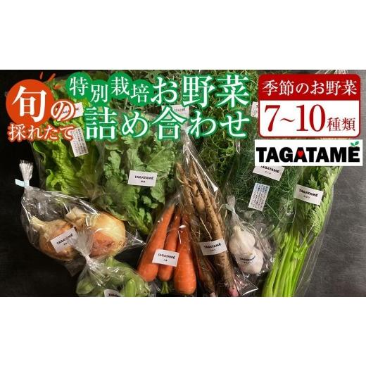 ふるさと納税 セット・詰合せ 香川県 さぬき市 特別栽培 旬の採れたて 7〜10種類お野菜詰め合わせセット TAGATAME タガタメ 野菜 特別栽培 有機野菜 農薬不使…の画像
