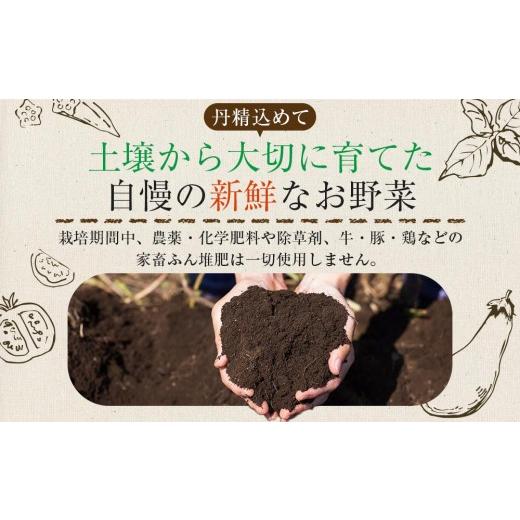 ふるさと納税 セット・詰合せ 香川県 さぬき市 特別栽培 旬の採れたて 7〜10種類お野菜詰め合わせセット TAGATAME タガタメ 野菜 特別栽培 有機野菜 農薬不使…の画像