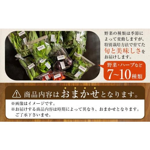 ふるさと納税 セット・詰合せ 香川県 さぬき市 特別栽培 旬の採れたて 7〜10種類お野菜詰め合わせセット TAGATAME タガタメ 野菜 特別栽培 有機野菜 農薬不使…の画像