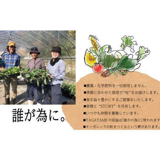 ふるさと納税 香川県 さぬき市 定期便 4回 野菜 特別栽培 セット 詰め合わせ 栽培期間中農薬不使用 7~10種類 TAGATAME タガタメ 旬の採れたて お野菜 詰め合わ…｜furusatochoice｜04