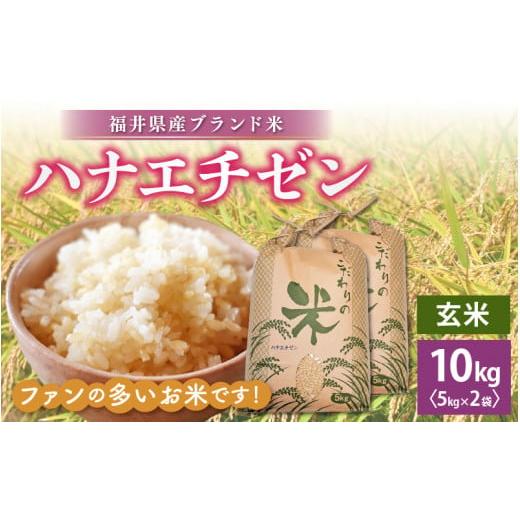 ふるさと納税 米 福井県 越前町 新米 令和7年産 ハナエチゼン 10kg 福井県産 玄米 お米 はなえちぜん 華越前 10キロ e30-b010