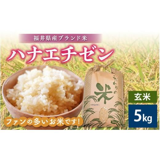 ふるさと納税 米 福井県 越前町 新米 令和7年産 ハナエチゼン 5kg 福井県産 玄米 お米 はなえちぜん 華越前 5キロ e30-a088